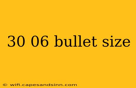 30 06 bullet size