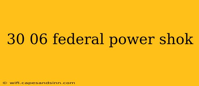 30 06 federal power shok