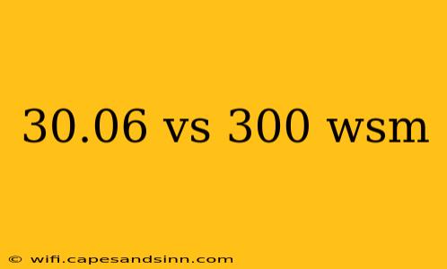 30.06 vs 300 wsm