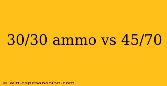 30/30 ammo vs 45/70