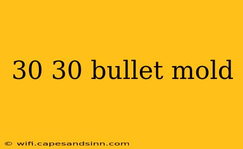 30 30 bullet mold