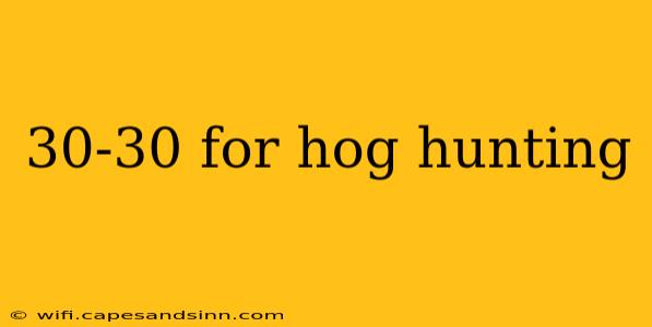 30-30 for hog hunting