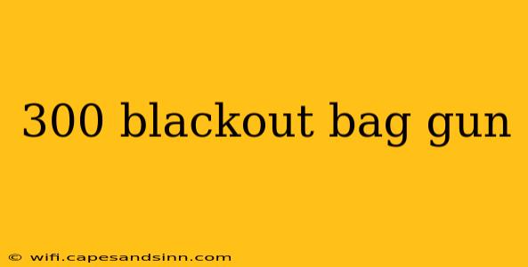 300 blackout bag gun