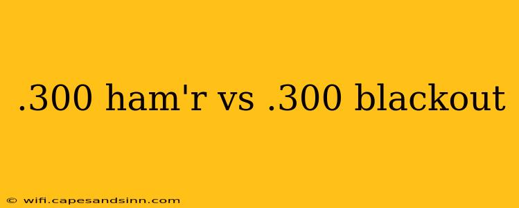 .300 ham'r vs .300 blackout