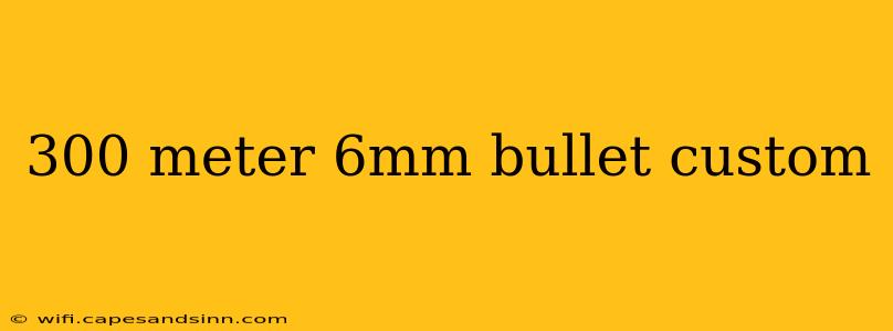 300 meter 6mm bullet custom