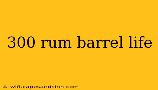 300 rum barrel life