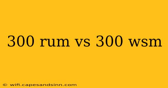 300 rum vs 300 wsm