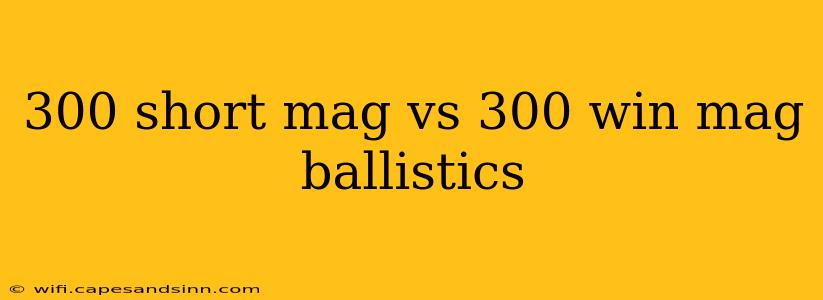 300 short mag vs 300 win mag ballistics