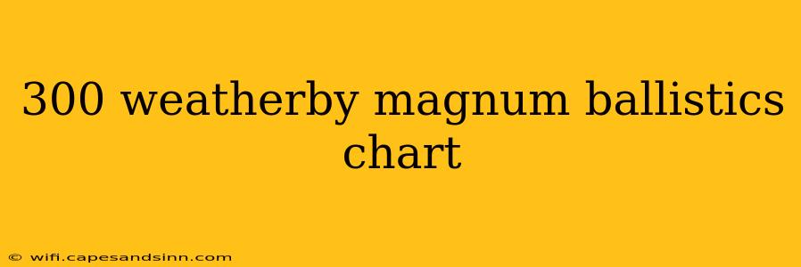 300 weatherby magnum ballistics chart