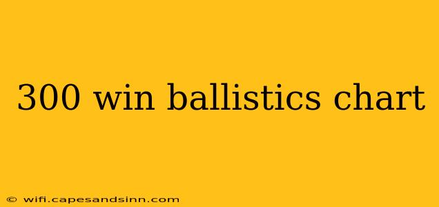 300 win ballistics chart