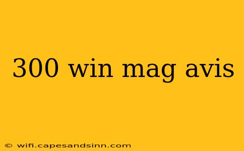 300 win mag avis