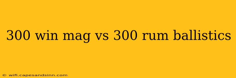 300 win mag vs 300 rum ballistics