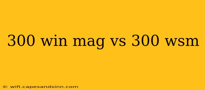 300 win mag vs 300 wsm