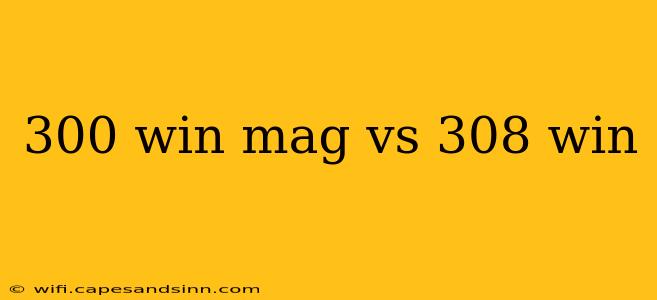 300 win mag vs 308 win