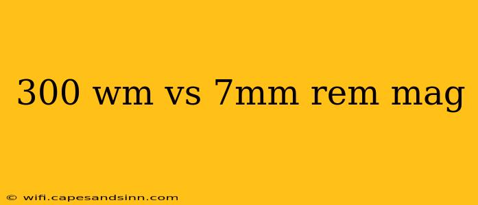 300 wm vs 7mm rem mag