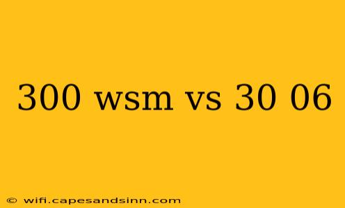 300 wsm vs 30 06