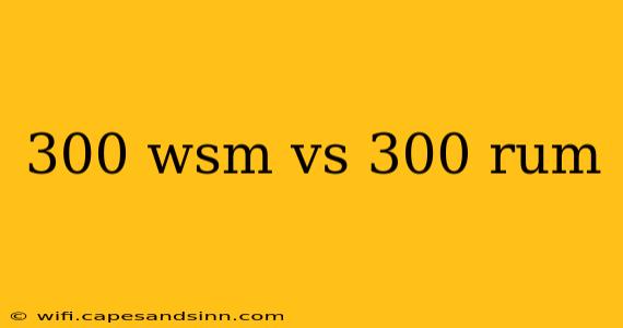 300 wsm vs 300 rum