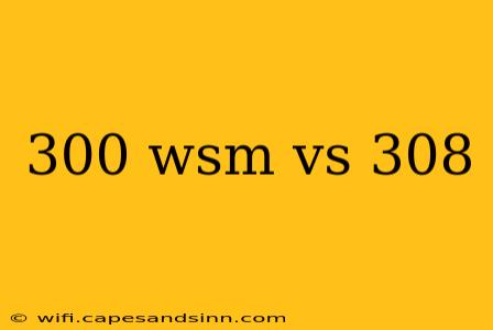 300 wsm vs 308