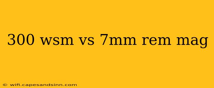 300 wsm vs 7mm rem mag