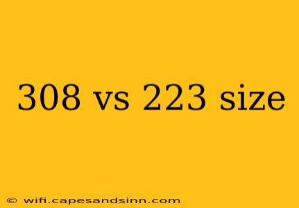 308 vs 223 size