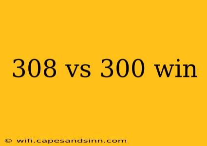 308 vs 300 win