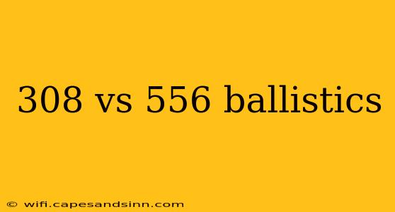 308 vs 556 ballistics