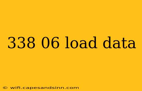 338 06 load data