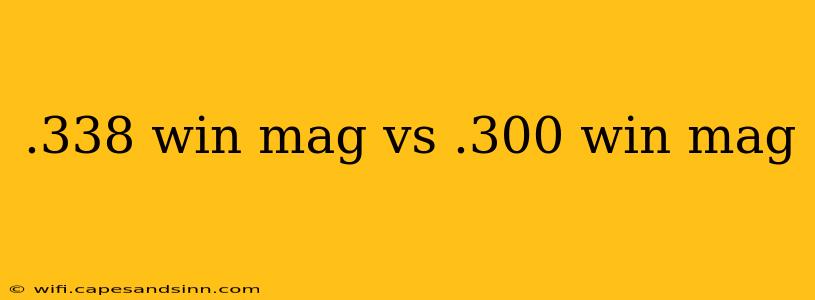 .338 win mag vs .300 win mag