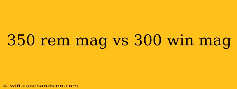 350 rem mag vs 300 win mag