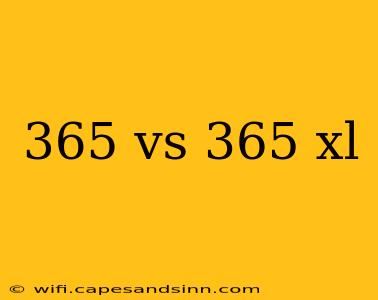 365 vs 365 xl