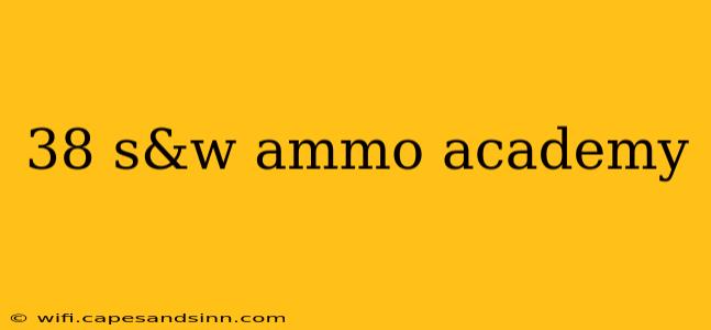 38 s&w ammo academy