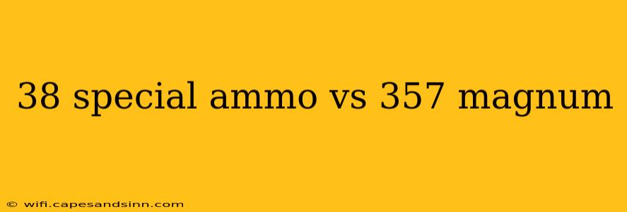 38 special ammo vs 357 magnum