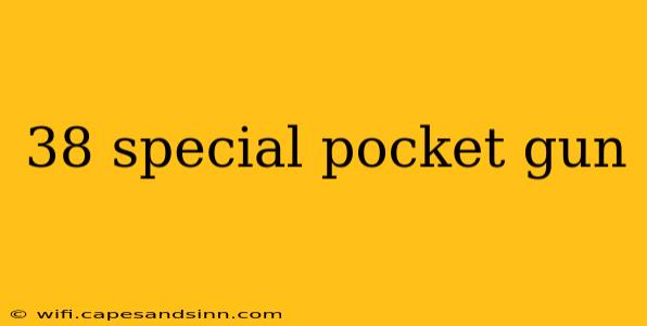 38 special pocket gun