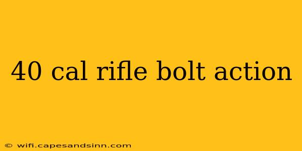 40 cal rifle bolt action