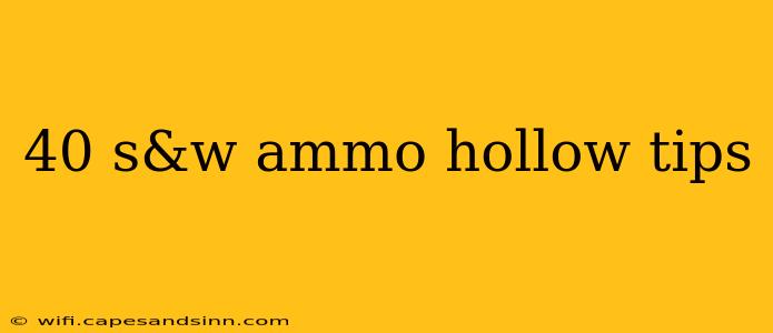 40 s&w ammo hollow tips