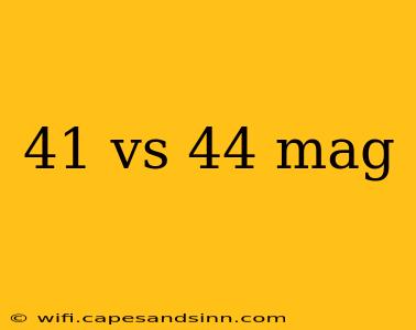 41 vs 44 mag