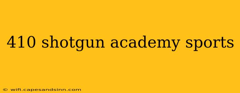 410 shotgun academy sports