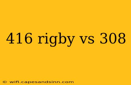 416 rigby vs 308