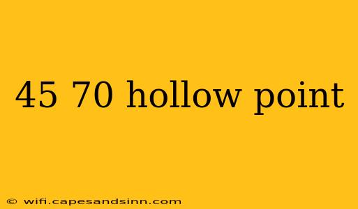 45 70 hollow point