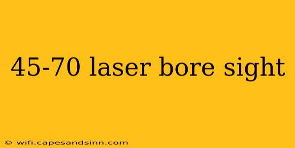 45-70 laser bore sight