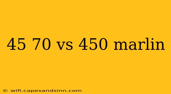 45 70 vs 450 marlin