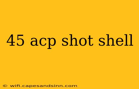 45 acp shot shell