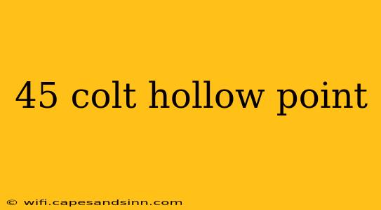 45 colt hollow point