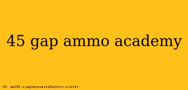 45 gap ammo academy