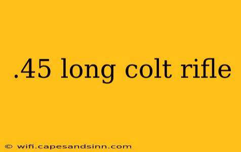 .45 long colt rifle