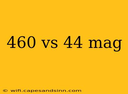 460 vs 44 mag