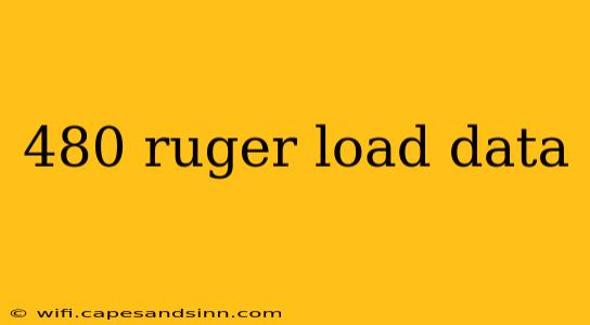 480 ruger load data