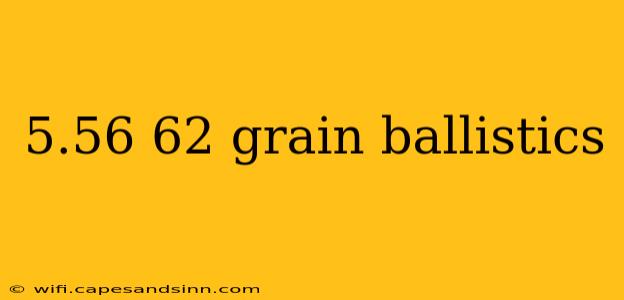 5.56 62 grain ballistics