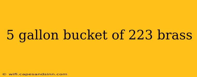 5 gallon bucket of 223 brass