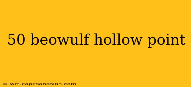 50 beowulf hollow point